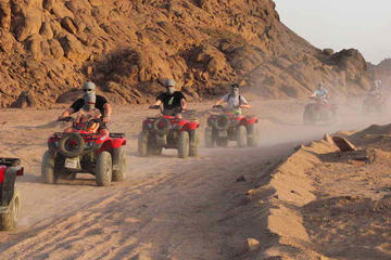 Quad bike tour