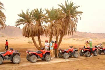 Quad Biking in Dahab