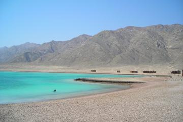 Ras Abu Gallum Snorkel and Camel Day Safari from Dahab