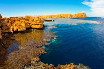 Ras Mohamed National Park by Boat from Dahab