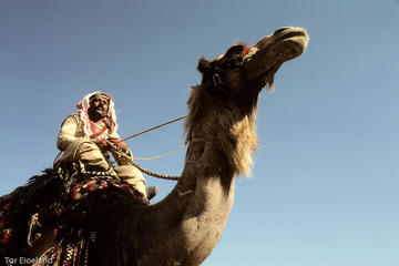 Two Days Camel Safari