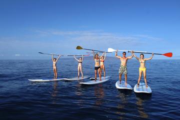 Private 2-Hour Beginner Paddleboarding 101 from Maui