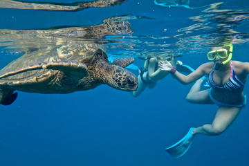 SUP Turtle Town Snorkel