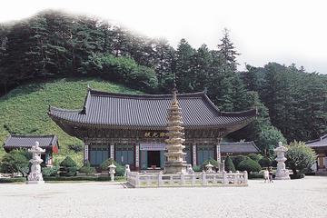 2-Day Bus Tour to Gangwon-do from Seoul