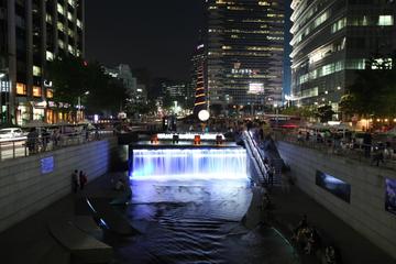 Korea Stopover Tour - Seoul Sightseeing and Shopping Tour with 2-Night Accommodation