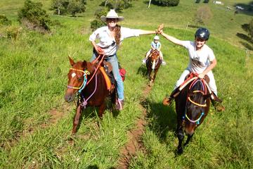 Country Day Ride from Rainbow Beach