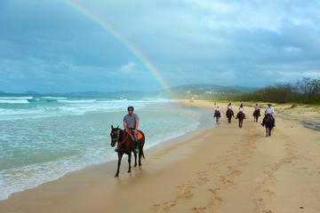Rainbow Beach Horse Ride