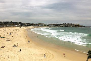 Bondi to Clovelly Coastal Walking Tour