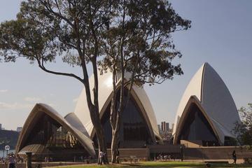 Exclusive Sydney Grand Walking Tour