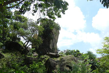 4-Hour Small Group Kowloon Sightseeing Tour