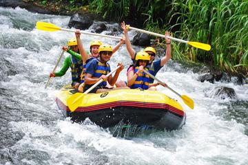 All Inclusive: Ubud River Rafting with Lunch and Transfers