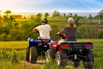 Bali Quad Bike Adventure with Ubud Monkey Forest and Temple