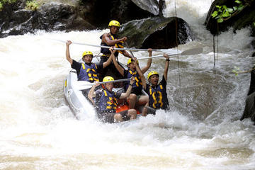 Full-Day Ayung River White Water Rafting and Ubud Tour