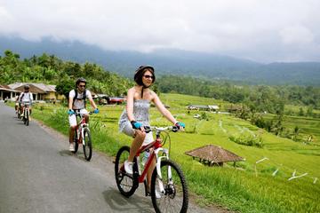 Jatiluwih Bali Unesco Rice Terraces Cycling Tour