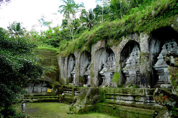 Private Bali Tour: Temples and Rice Terraces Tour
