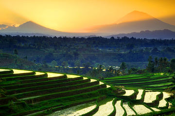 Private Tour: Bali Western Highlights