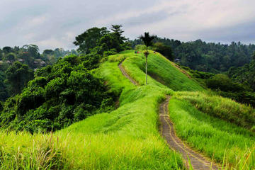 Private Tour: Campuhan Ridge Walk and Sightseeing in Ubud