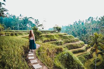 Private Tour: Ubud Village and Temples Tour