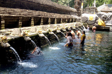 Private Ubud and Volcano Day Trip