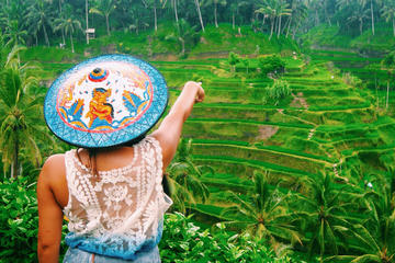 Private Ubud Tour