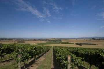 Yarra Valley Winery Tour from Melbourne Including Lunch and Local Guide