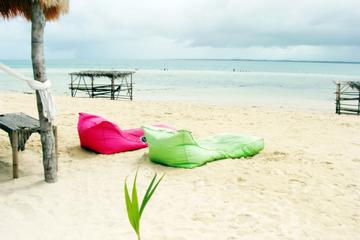 Lakawon Island Day Tour from Bacolod City