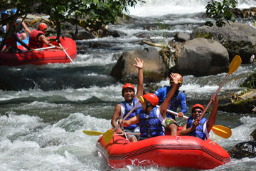 Bali Shore Excursion: White Water Rafting and Coffee Plantation or Agro Tourism Visit