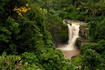 Bali Tegenungan Waterfall, Temple, and Monkey Forest Tour