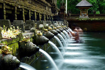 Bali Tour Sightseeing As You Go