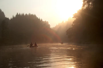 Early Morning Canoe Safari