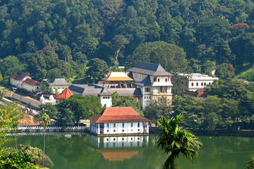 Full-Day Kandy Highlights Tour