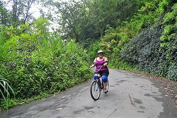 Bicycle Tour of Jamaica's Blue Mountains from Falmouth