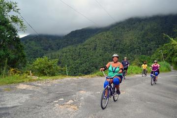 Bicycle Tour of Jamaica's Blue Mountains from Montego Bay