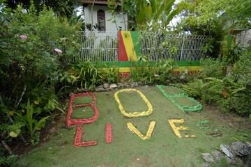 Day Trip to Bob Marley's Nine Mile and Dunn's River Falls from Falmouth