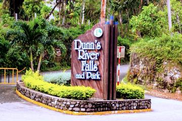 Dunn's River Falls and Ocho Rios Shopping Tour from Falmouth