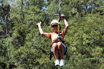 Falmouth Shore Excursion: Zipline Canopy plus Montego Bay City Highlights