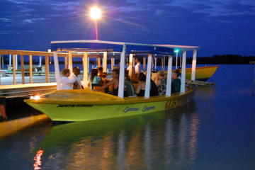 Luminous Lagoon Tour from Montego Bay and Grand Palladium