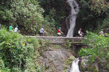 Private Blue Mountain Bicycle Tour from Montego Bay
