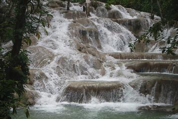 Private Dunns River Falls Day Trip from Montego Bay and Grand Palladium