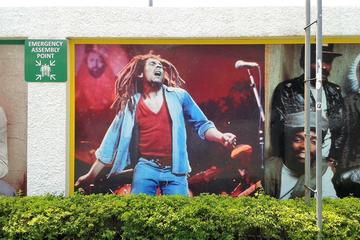Private Full-Day Bob Marley Excursion from Falmouth