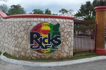 Private Negril Day Trip from Runaway Bay