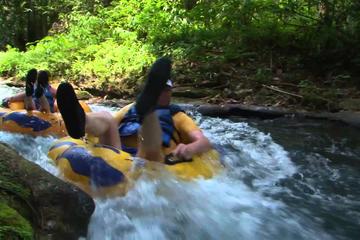 Private Rio Bueno River Adventure from Runaway Bay