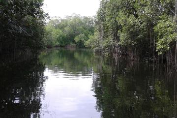 Private YS Falls and Black River Safari from Runaway Bay