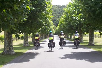 Half-Day Self-Guided Hawkes Bay Coastline and Wineries Cycling Tour