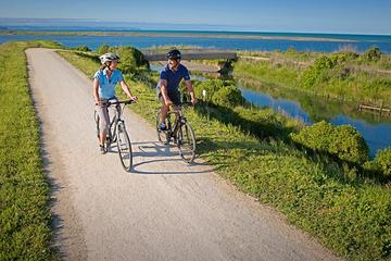 Self-Guided Biking Tour of Hawke's Bay Wineries