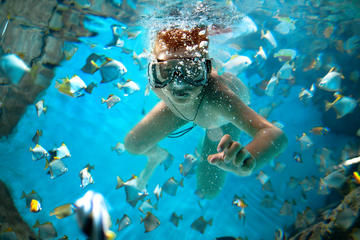 Snorkel and Lunch Cruise from Providenciales