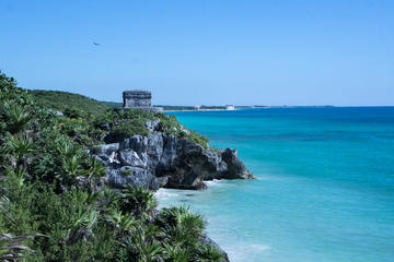 Exclusive Private Tour to Tulum Turtle Experience and cenote