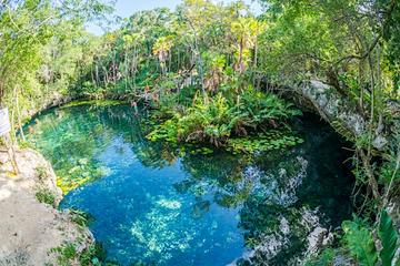 Private Snorkeling Tour in 2 Cenotes with Mayan lunch