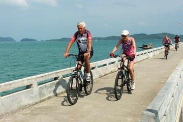 5-Day Bangkok to Samui Island Electric Bike Tour