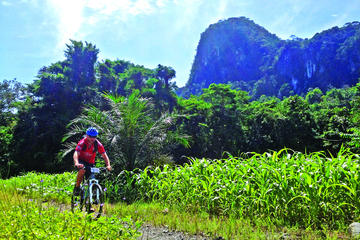 3-in-1 Ultimate Borneo Expedition Adventure